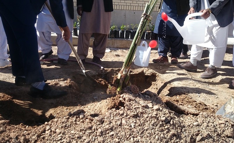 کاشت نهال مهربانی در روز تجدید حیات در شهرستان سراوان+تصاویر