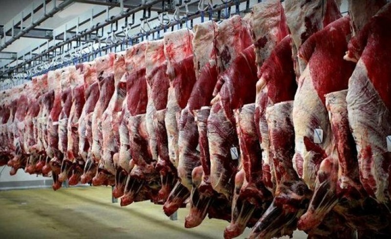 صادرات 6138 کیلوگرم گوشت قرمز از سیستان وبلوچستان به سایر استان ها