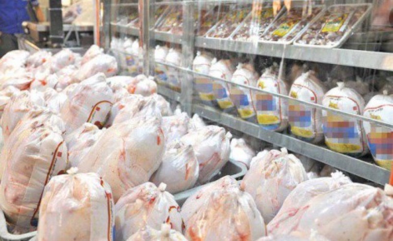 خودکفایی در تولیدگوشت مرغ نیازمند ایجادواحدهای جدید است/تولید سالیانه 1260تن گوشت مرغ در نیکشهر
