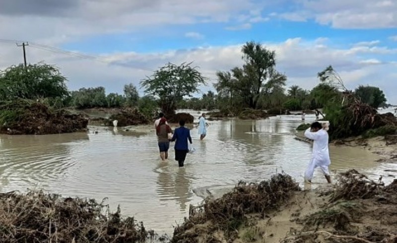 نابودی 4هزار هکتار اراضی کشاورزی دلگان بر اثر بارندگی/ از بارش های بی سابقه تا نجات 27گرفتار در سیلاب