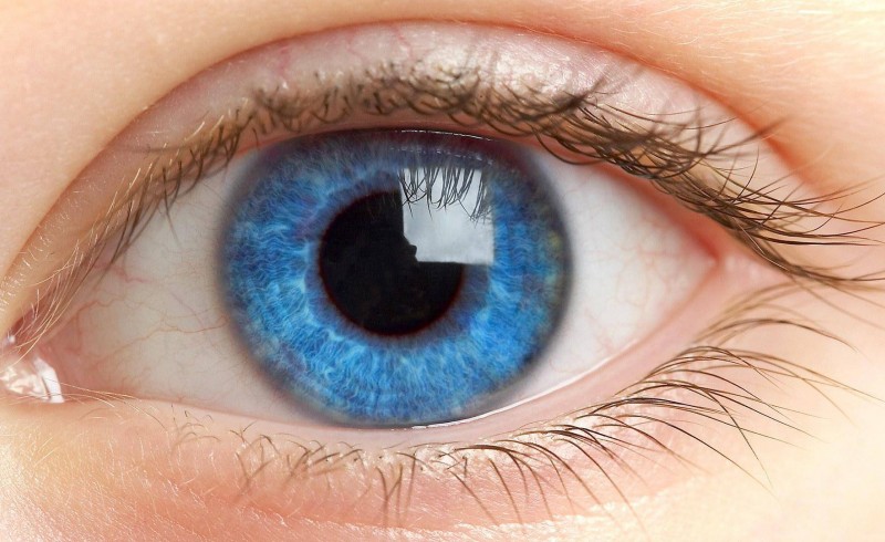 درباره شیوع عفونت‌های ویروسی چشم بیشتر بدانیم