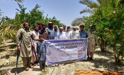 "کرم گلوگاه" مهم ترین آفت درختان انار در مهرستان/  برگزاری کارگاه آموزشی با هدف توسعه مبارزه بیولوژیکی